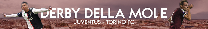 Torino_banner